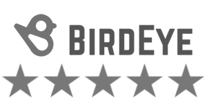 birdeye-1.webp